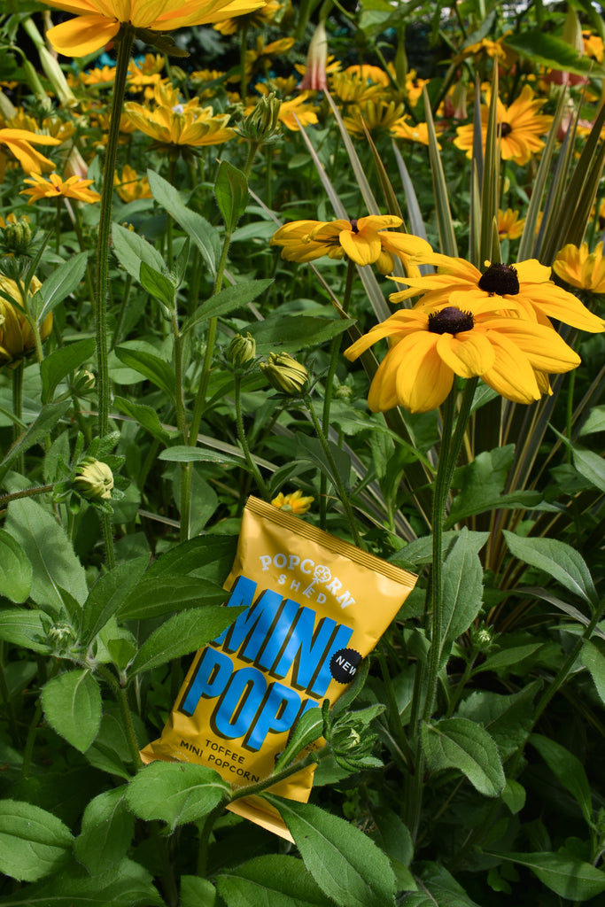 Mini Pop!® Toffee - Vegan Popcorn Single Serve Bag - Treat Yo Self Vegan Sweets